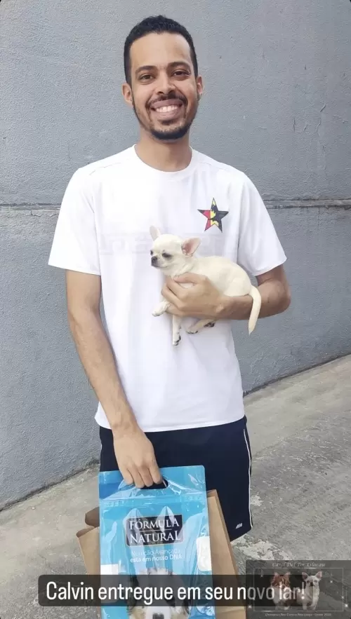 Entregas