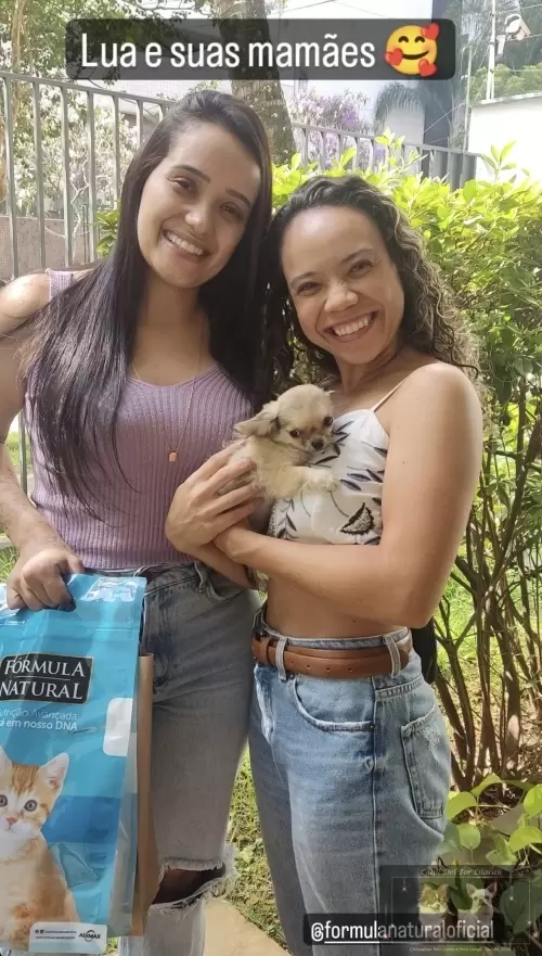 Entregas