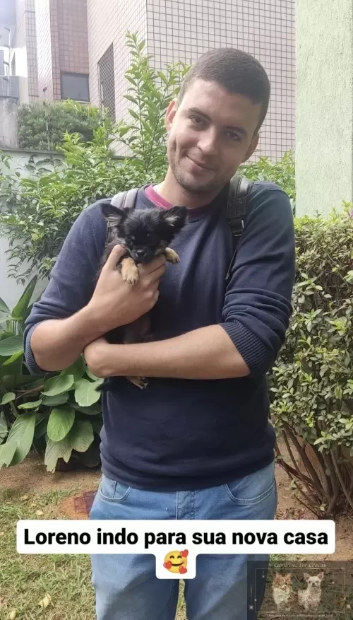 Entregas