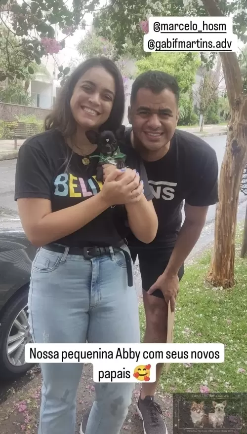 Entregas