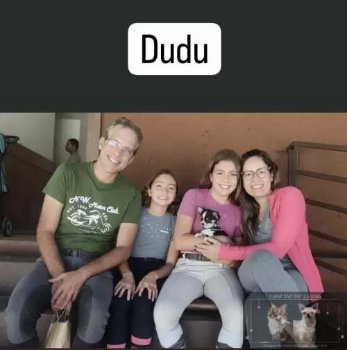 Entregas