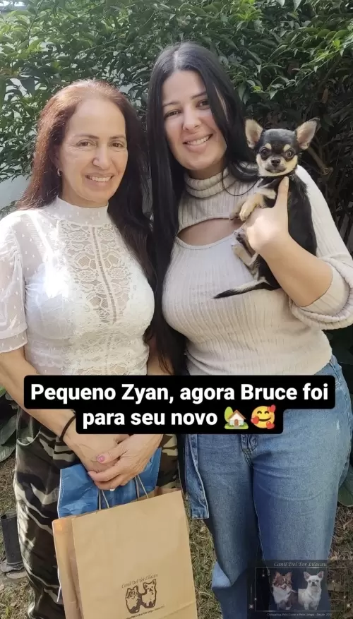 Entregas