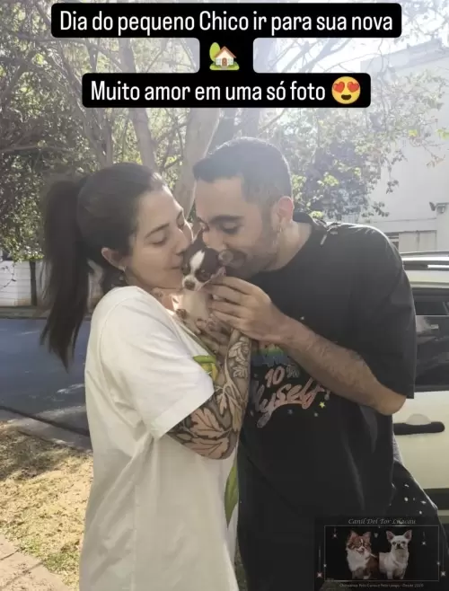 Entregas
