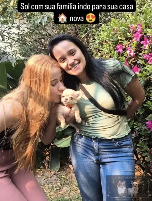 Entregas