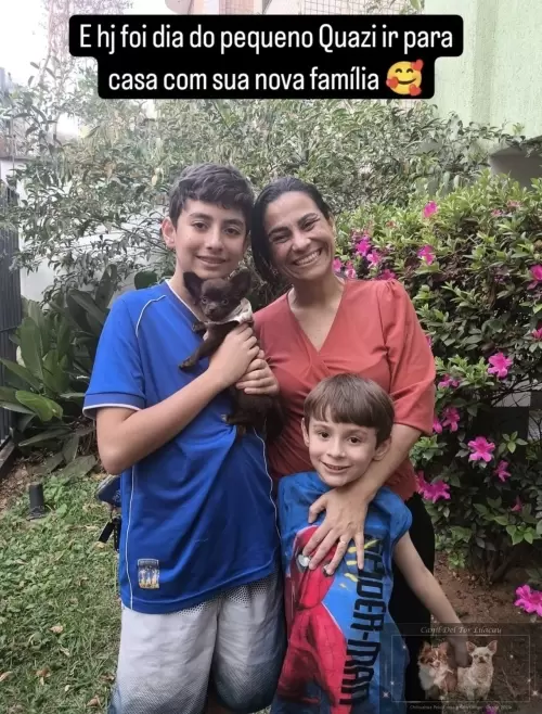 Entregas