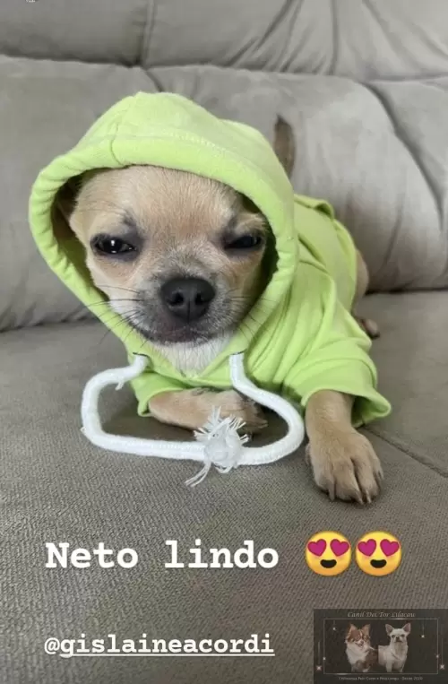 Nossos Netinhos 