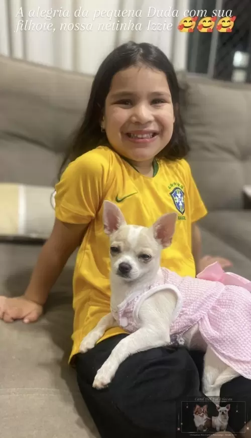 Nossos Netinhos 