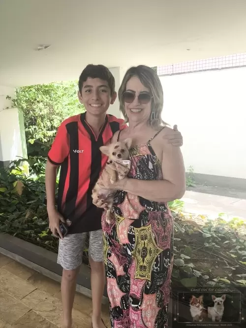 Entregas