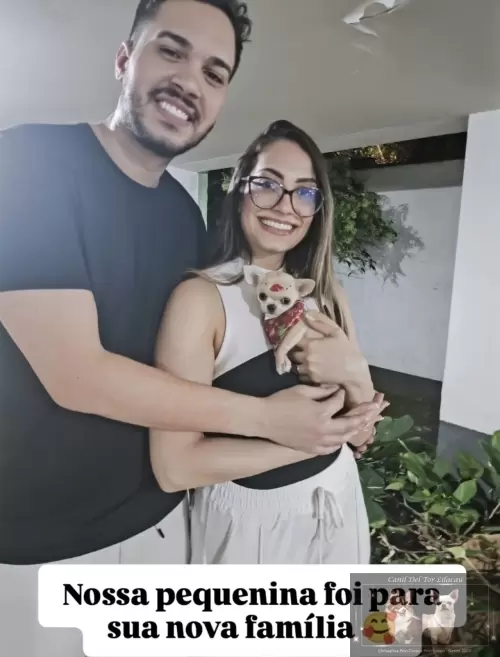 Entregas