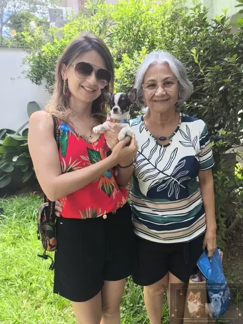 Entregas