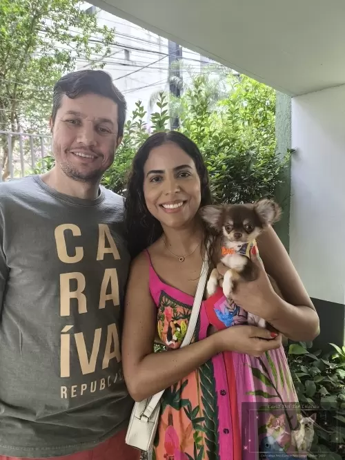 Entregas