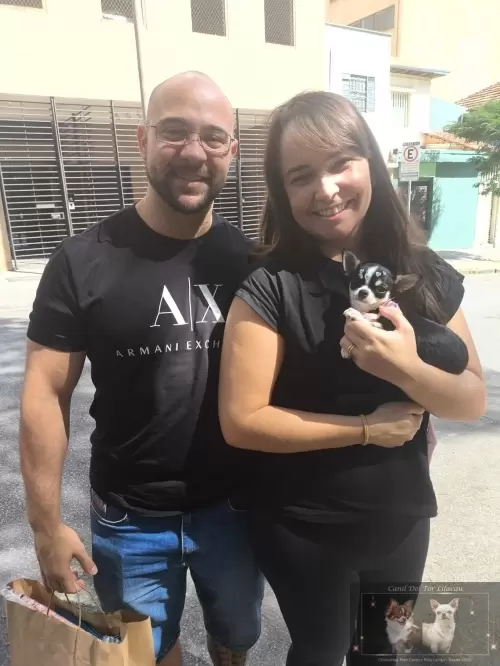 Entregas