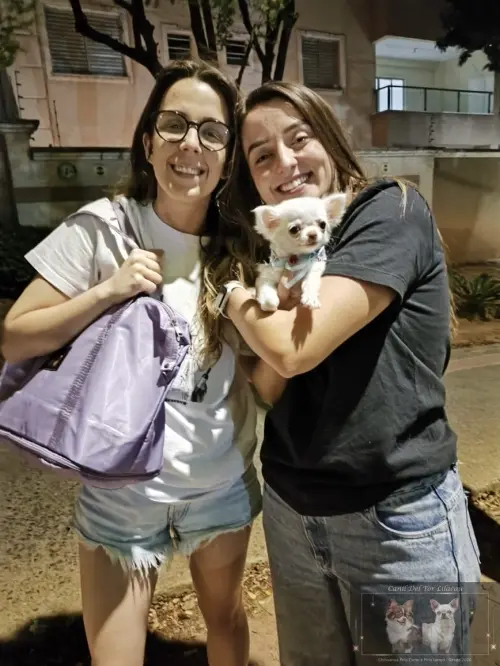 Entregas
