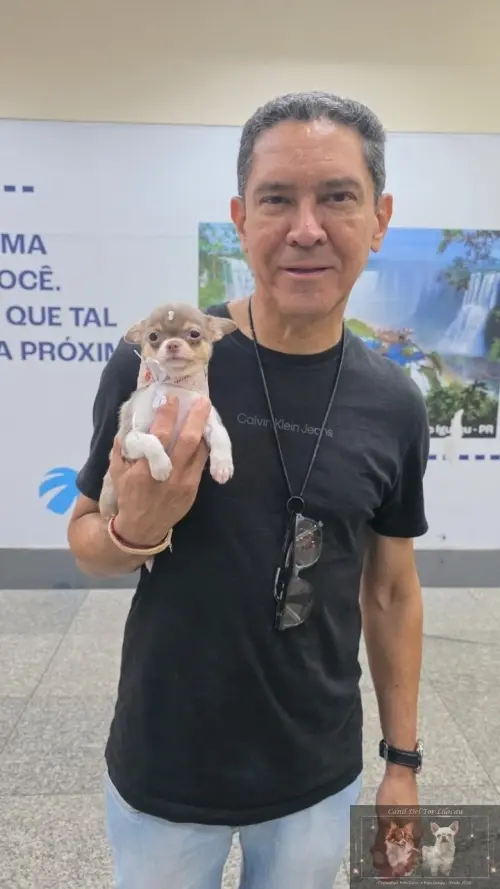 Entregas