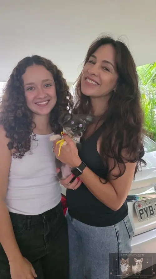 Entregas