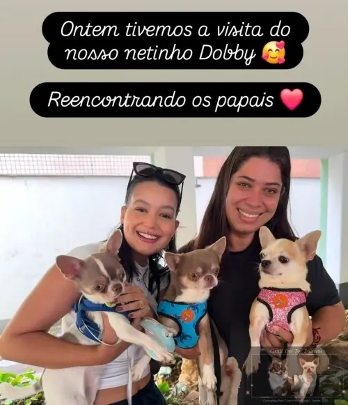 Nossos Netinhos 