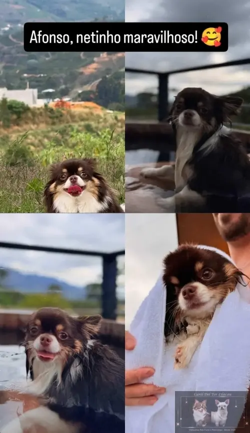 Nossos Netinhos 