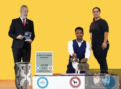 Títulos