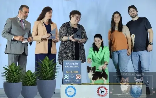 Títulos